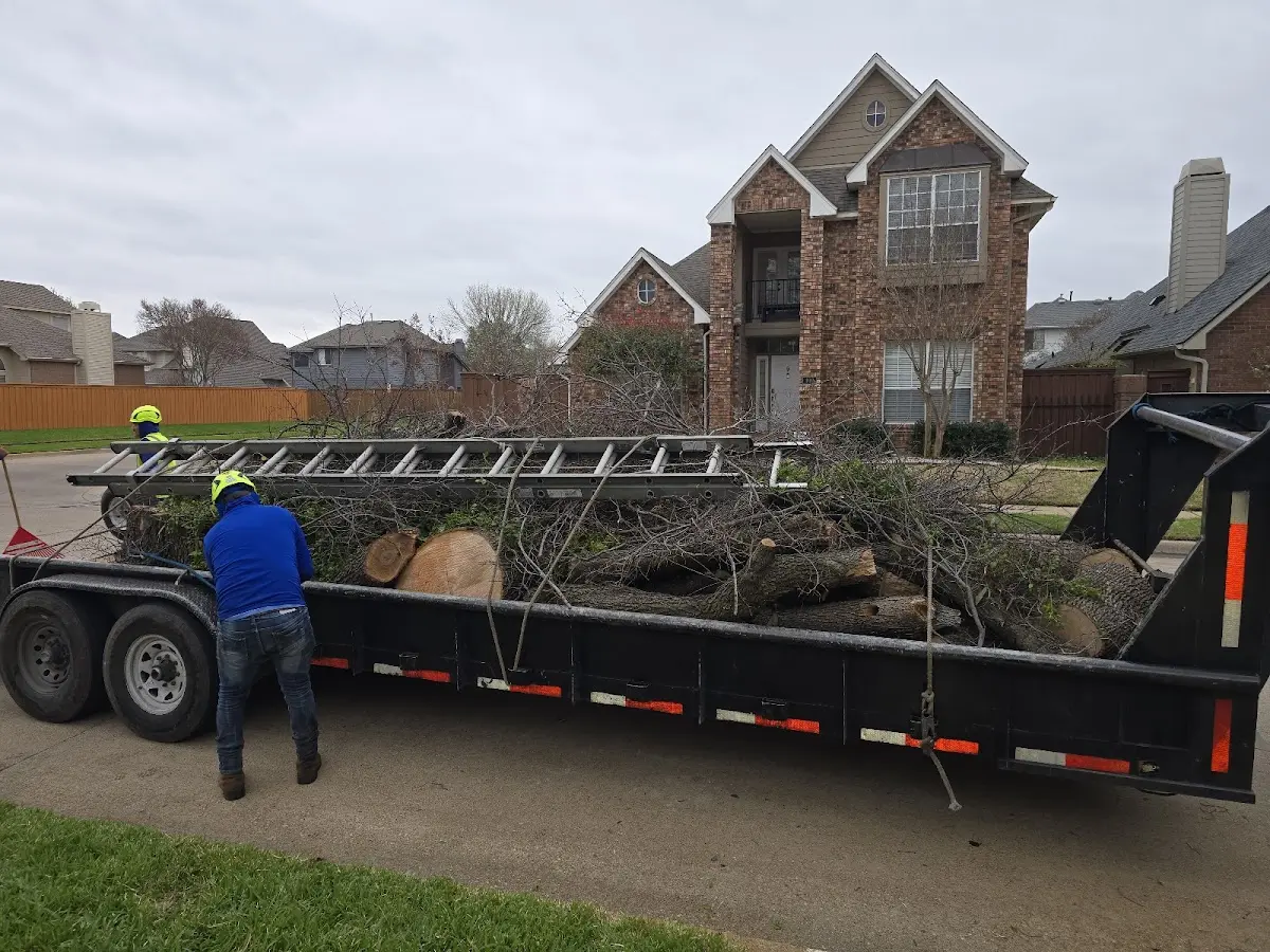 Expert Tree Fertilization with proper safety equipment in New Trenton